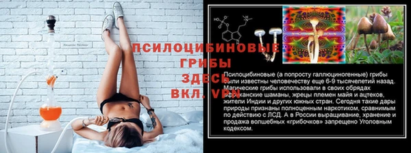 герыч Алзамай