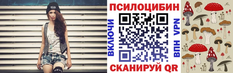купить наркотики цена  shop официальный сайт  Псилоцибиновые грибы GOLDEN TEACHER  Тобольск 